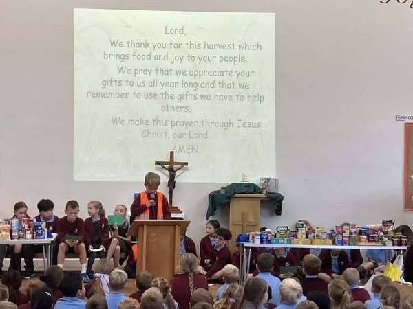 558304646 808541695010026 3544585996579611579 n