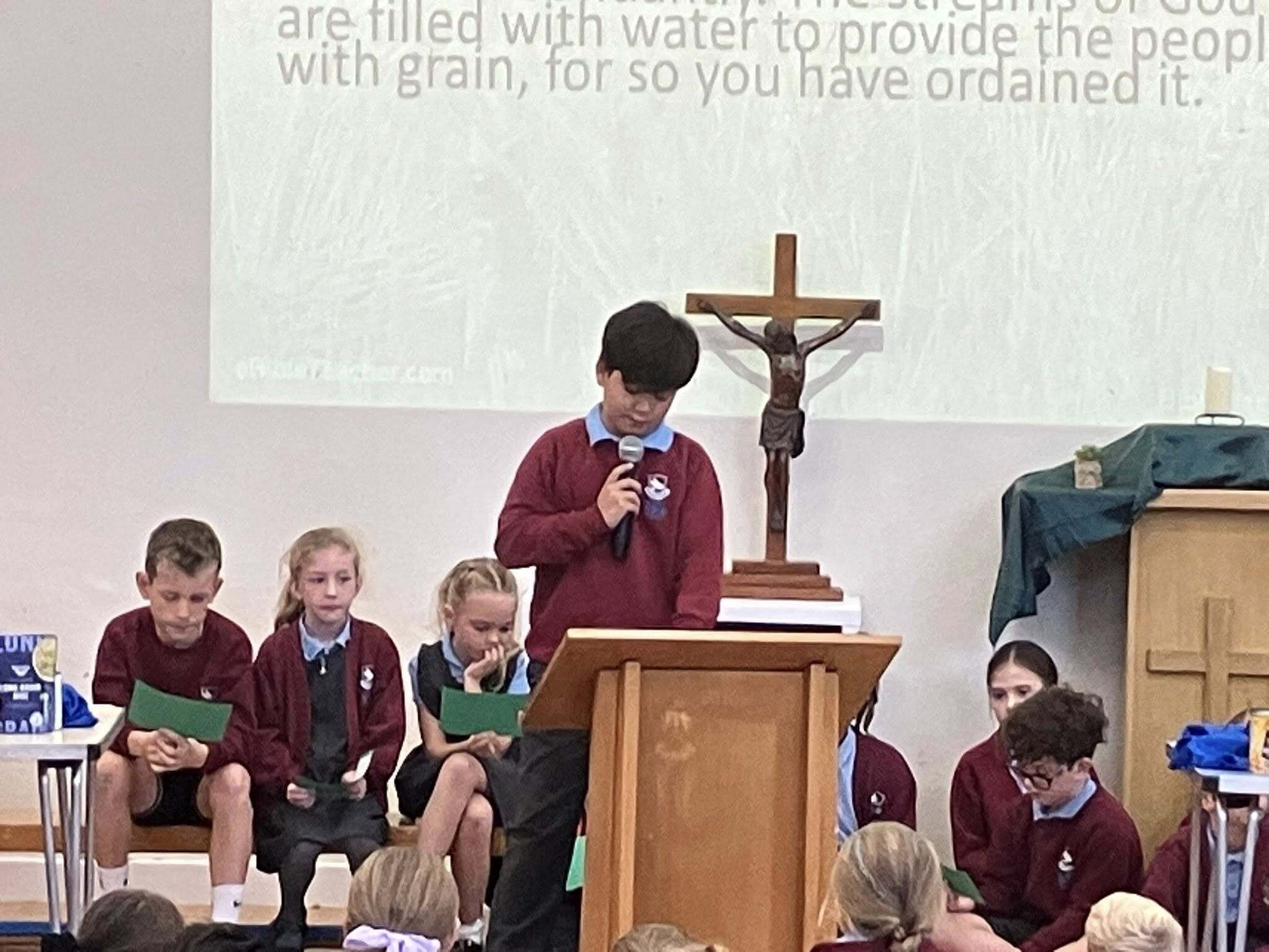 558921882 808541678343361 3112140815261634702 n